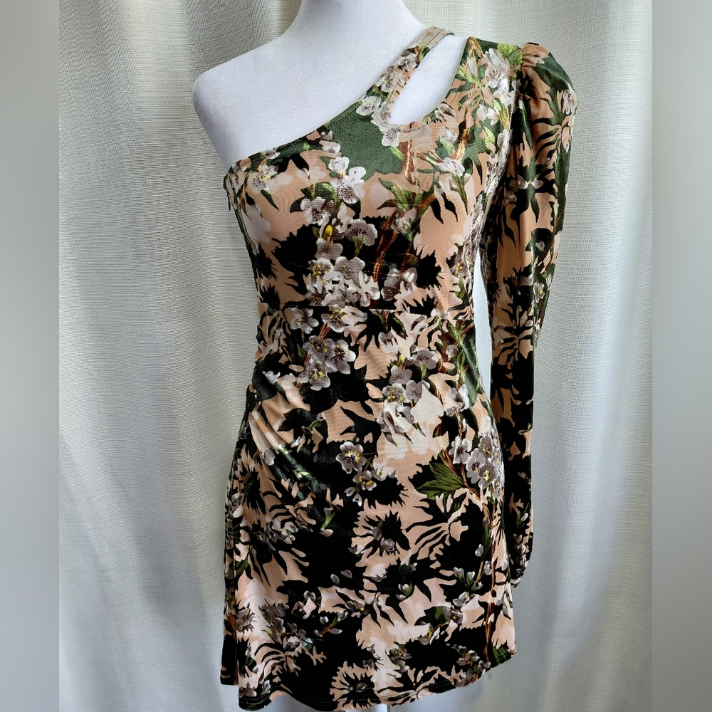 One-Shoulder Floral Velvet Dress in Green and Blush